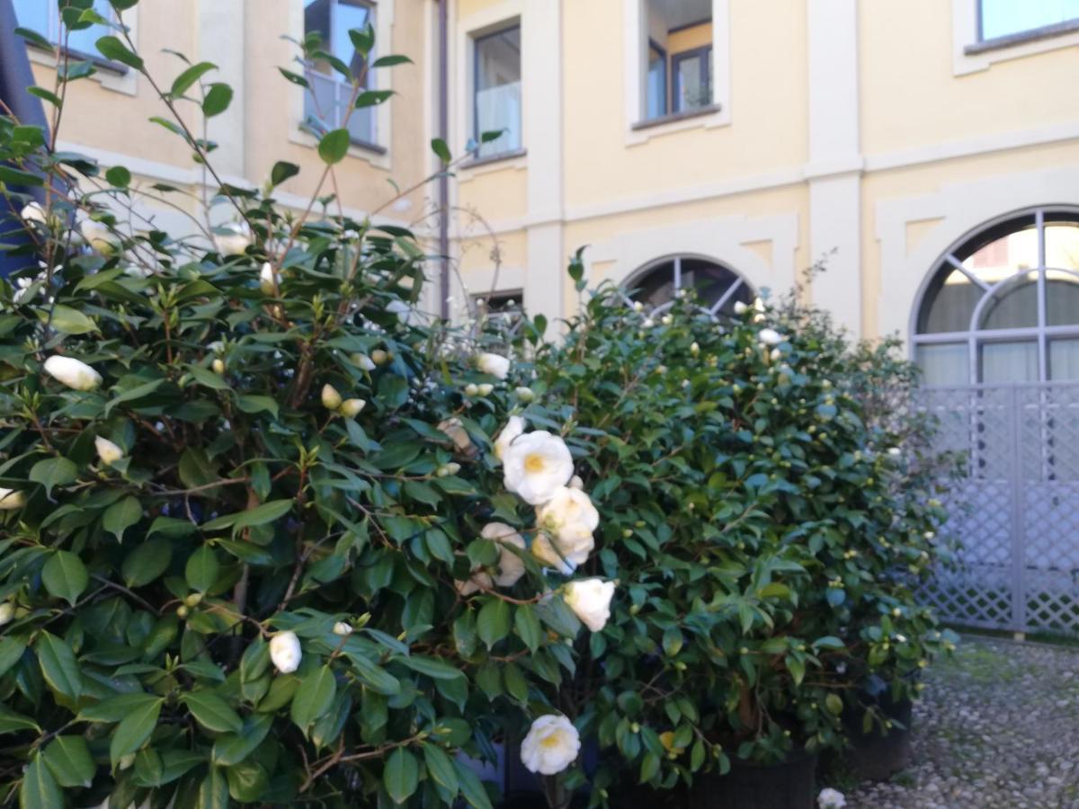 Lisander B&B Suite And Terrace Seregno Exterior foto